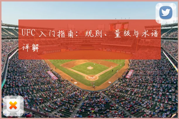 UFC 入门指南:规则、量级与术语详解