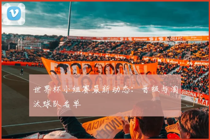 世界杯小组赛最新动态:晋级与淘汰球队名单