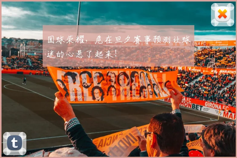 国球荣耀,危在旦夕赛事预测让球迷的心悬了起来!