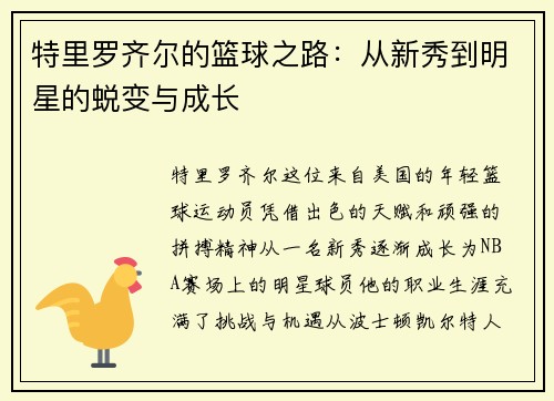 特里罗齐尔的篮球之路：从新秀到明星的蜕变与成长