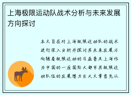 上海极限运动队战术分析与未来发展方向探讨