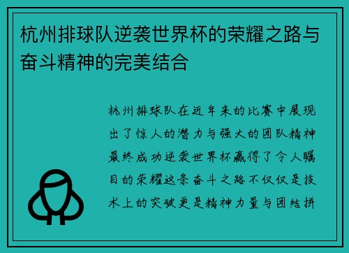 杭州排球队逆袭世界杯的荣耀之路与奋斗精神的完美结合